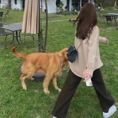 自由如夜